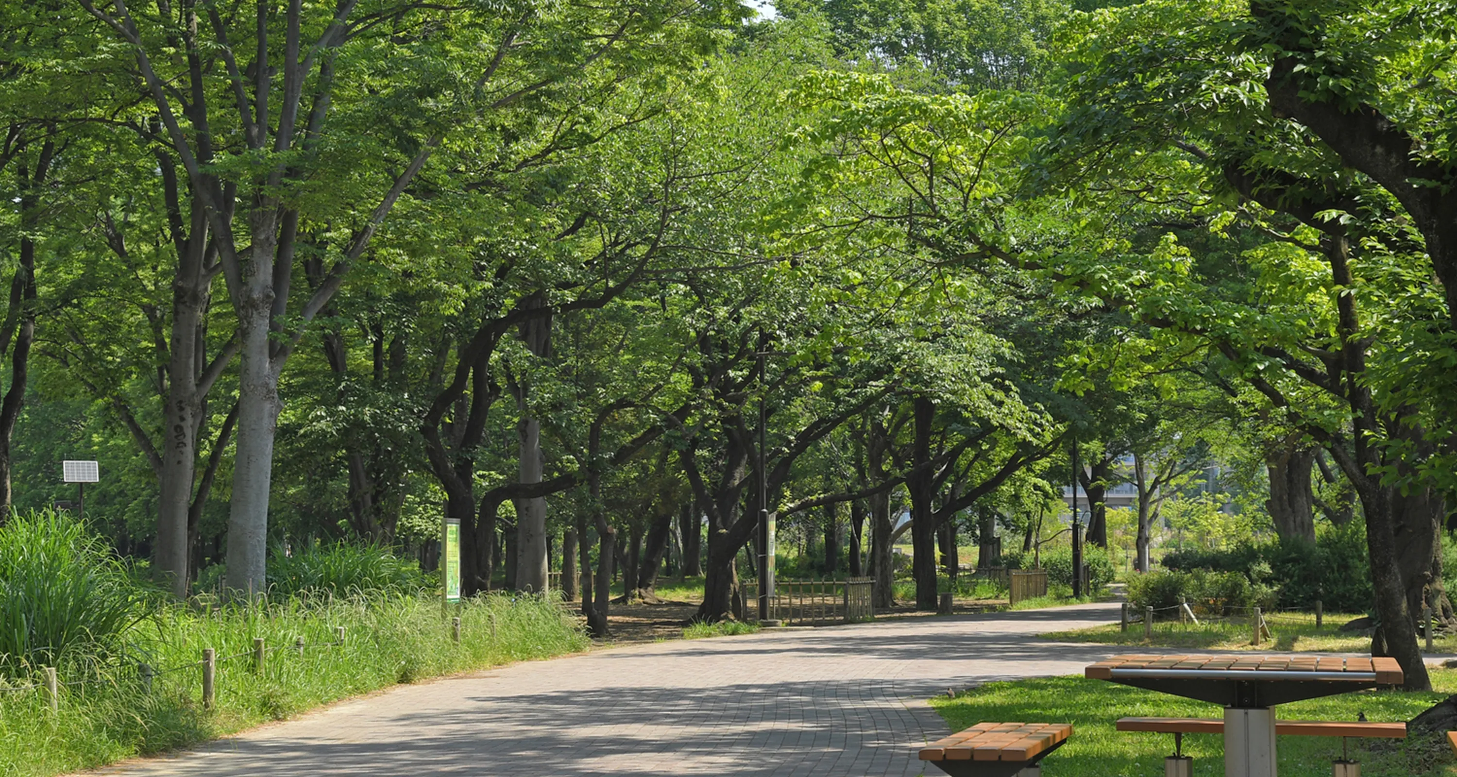 この街と、ちょうどいい距離で。武蔵境という街で、自分のペースで整う暮らし。